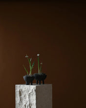 Load image into Gallery viewer, DUCK BOWL MINI, COFFEE