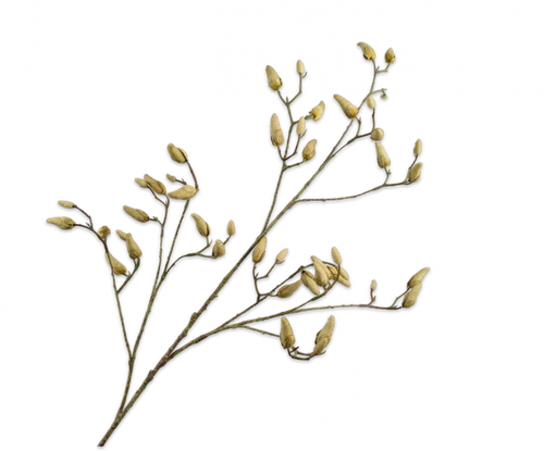 MAGNOLIA SPRAY GRN/GRY 132CM