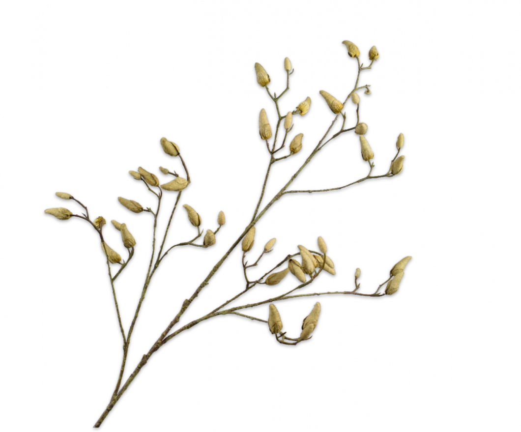 MAGNOLIA SPRAY GRN/GRY 132CM