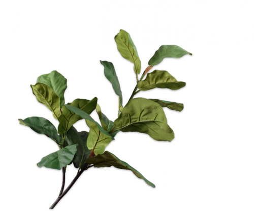LEAF SPRAY GREEN 114CM