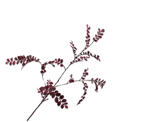LEAF SPRAY PRP DK 110CM