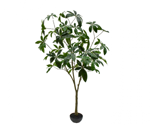 PLANT GREEN 205CM