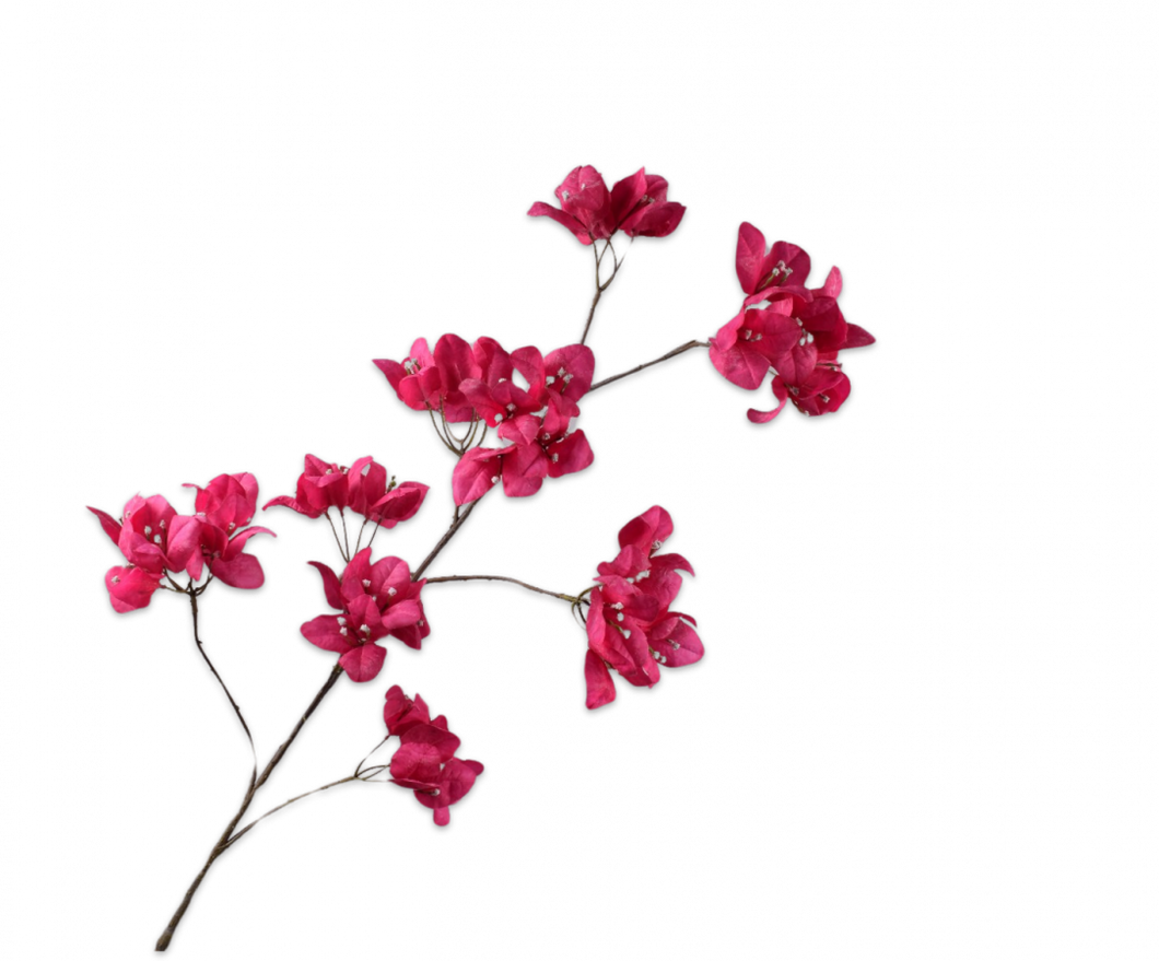 BOUGAINVILLEA SPRAY BEAUTY 120CM