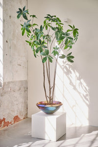 PLANT GREEN 230CM