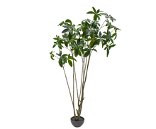 Load image into Gallery viewer, PLANT GREEN 230CM