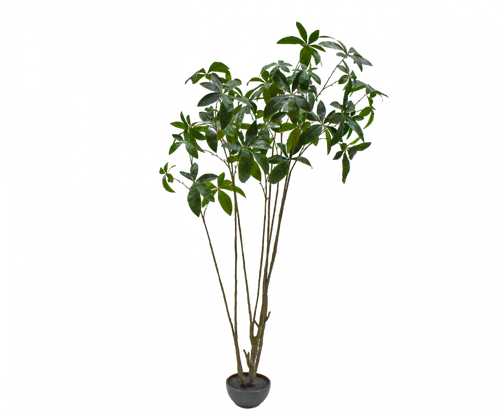 PLANT GREEN 230CM