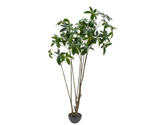 PLANT GREEN 230CM