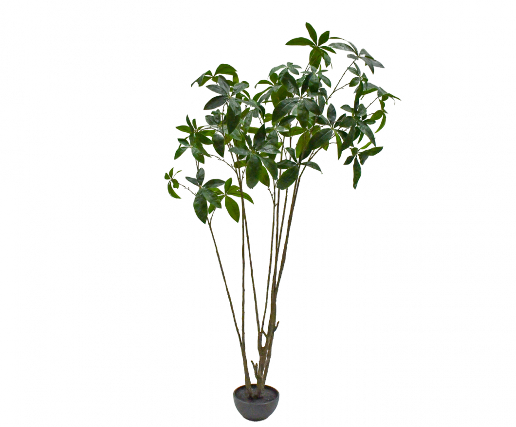 PLANT GREEN 230CM