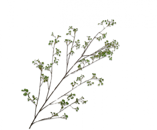 LEAF SPRAY GREEN 171CM