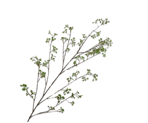 LEAF SPRAY GREEN 171CM