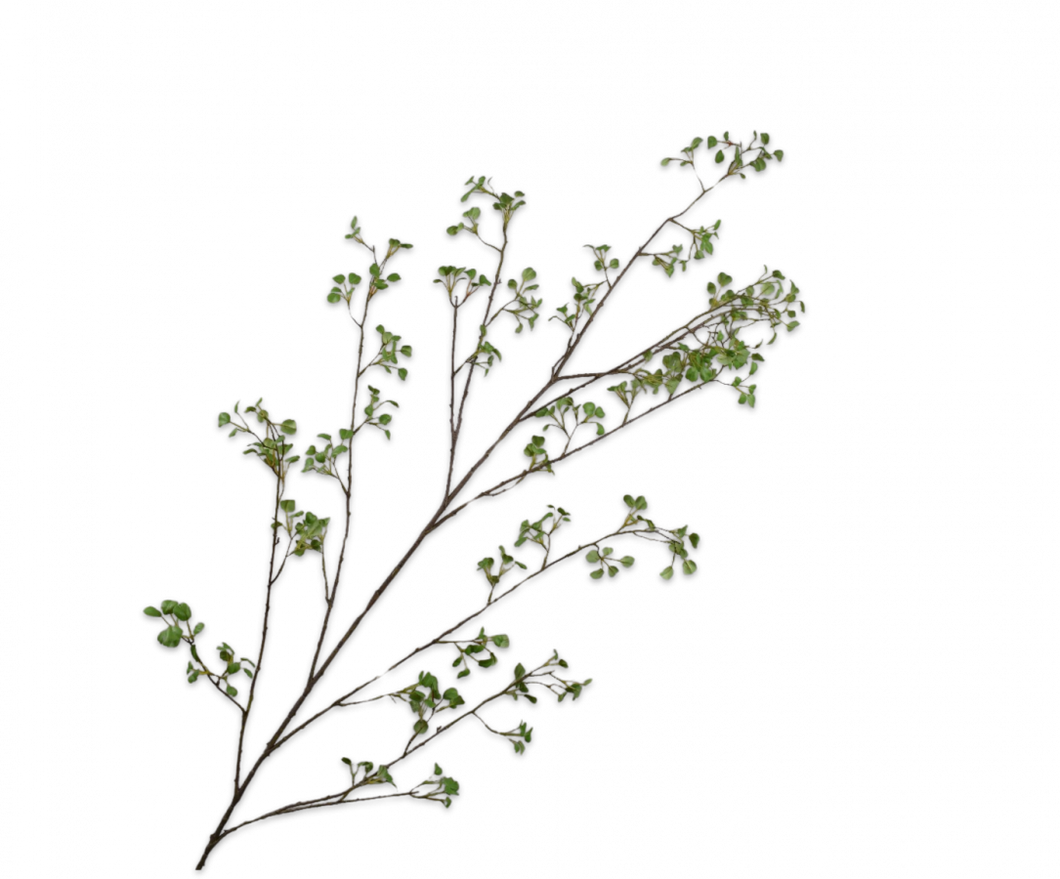 LEAF SPRAY GREEN 171CM