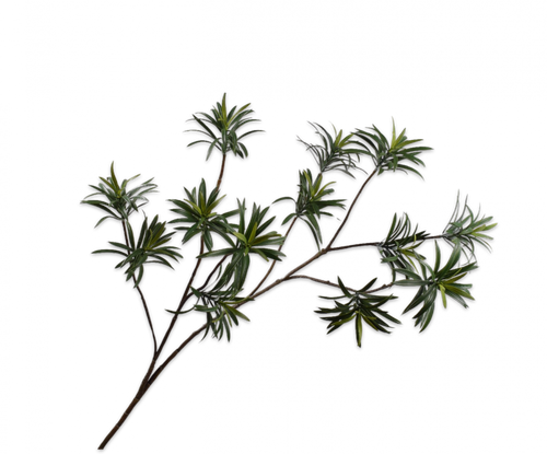 LEAF SPRAY PODOCARPUS GREY DK 109CM