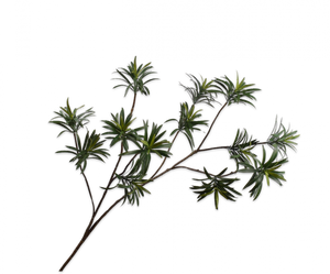 LEAF SPRAY PODOCARPUS GREY DK 109CM