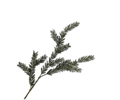 PINE SPRAY GRN DK 112CM