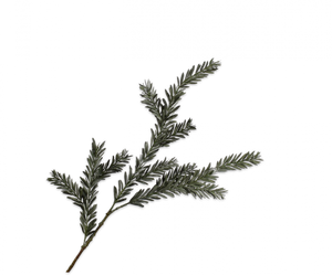 PINE SPRAY GRN DK 112CM