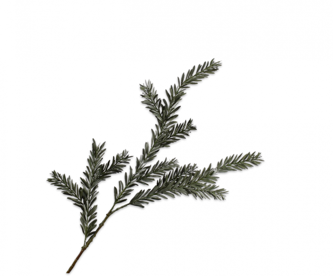 PINE SPRAY GRN DK 112CM
