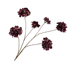 HYDRANGEA SPRAY BURGUNT RT 115CM