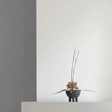 Load image into Gallery viewer, DUCK BOWL MINI, DARK GREY