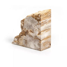 Load image into Gallery viewer, PETRIFIED WOOD BOOKENDS-LIGHT