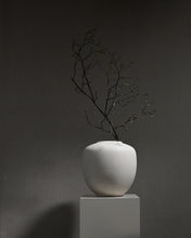 Load image into Gallery viewer, SUNAO VASE, MEDIO - BIRCH