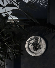 Load image into Gallery viewer, ENKEI TRAY, MINI - EARTH