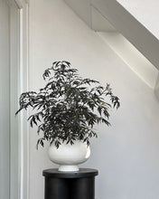 Load image into Gallery viewer, KABIN VASE, FAT - BONE WHITE