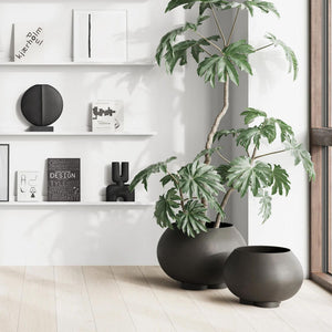 URCHIN PLANT POT,  COFFEE BIG
