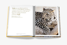 Load image into Gallery viewer, ARABIAN LEOPARD (CLASSIC)