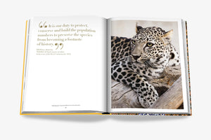 ARABIAN LEOPARD (CLASSIC)