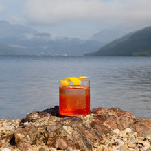 Load image into Gallery viewer, FINESSE SET OF 4 WHISKEY DOF GLASSES