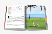 Load image into Gallery viewer, PALM BEACH
