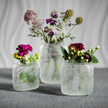 Load image into Gallery viewer, HAMMERED FROSTED GLASS VASE - CLEAR - SMALL