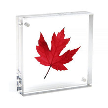 Load image into Gallery viewer, ORIGINAL SQUARE MAGNET FRAME - CLEAR, 4&quot; X 4&quot;