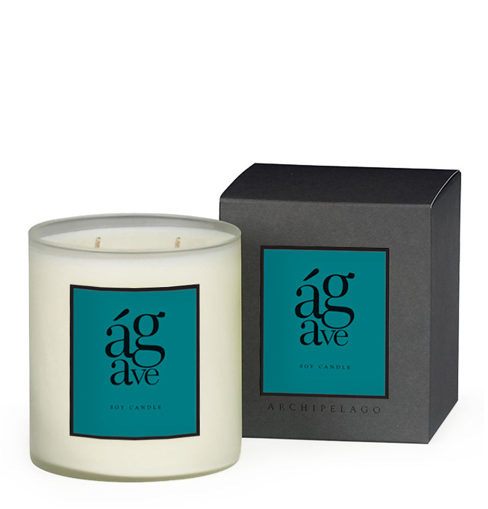 AGAVE BOXED CANDLE